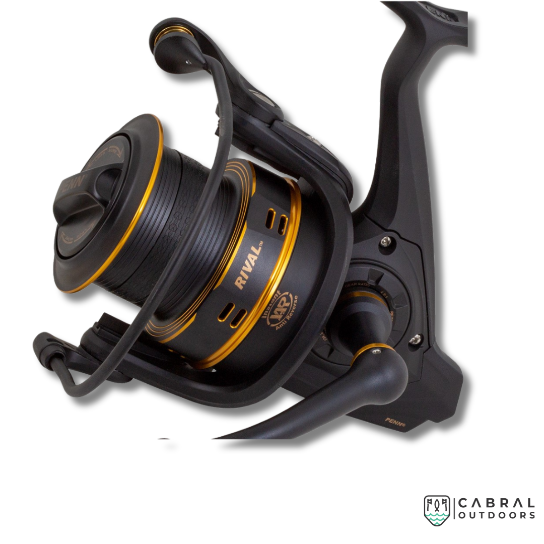 (Stock Clearance) Penn Rival Gold Spinning Reel 6000