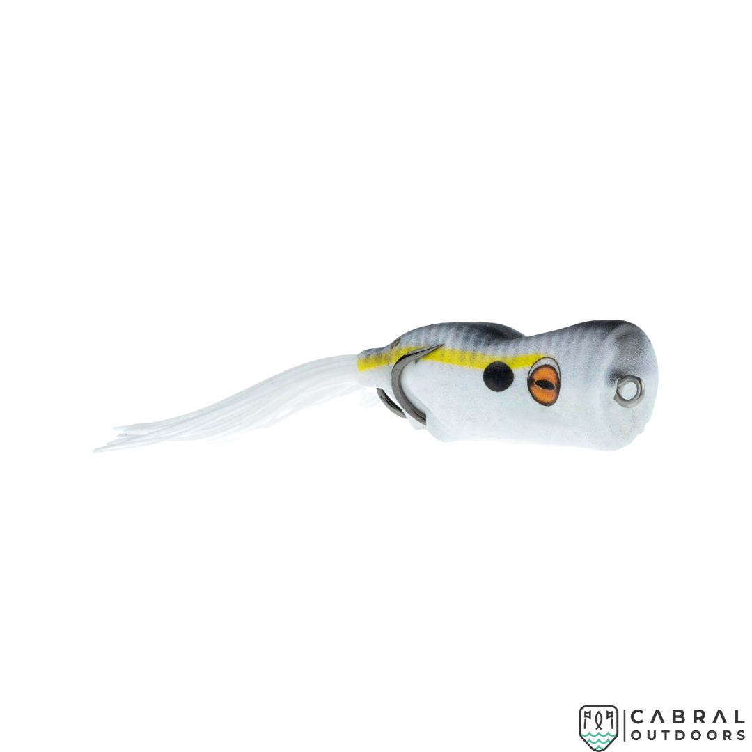 Scum Frog Trophy Series Popper| 2.5" (6.35cm) | 15g Popping Frog Scum frog Cabral Outdoors