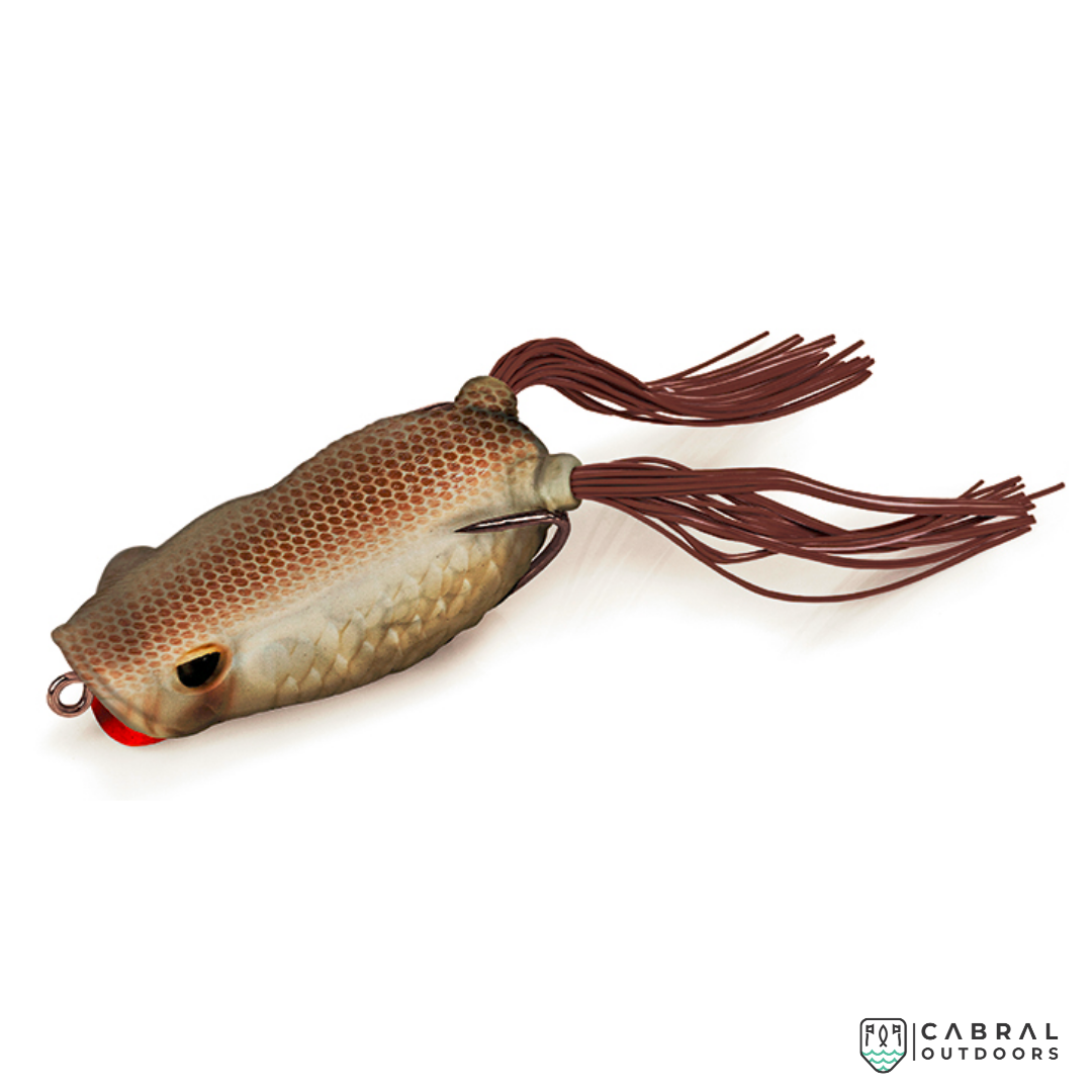 Molix Rattlin' Pop Frog | Size: 6.5cm | 18g Popping Frog Molix Cabral Outdoors