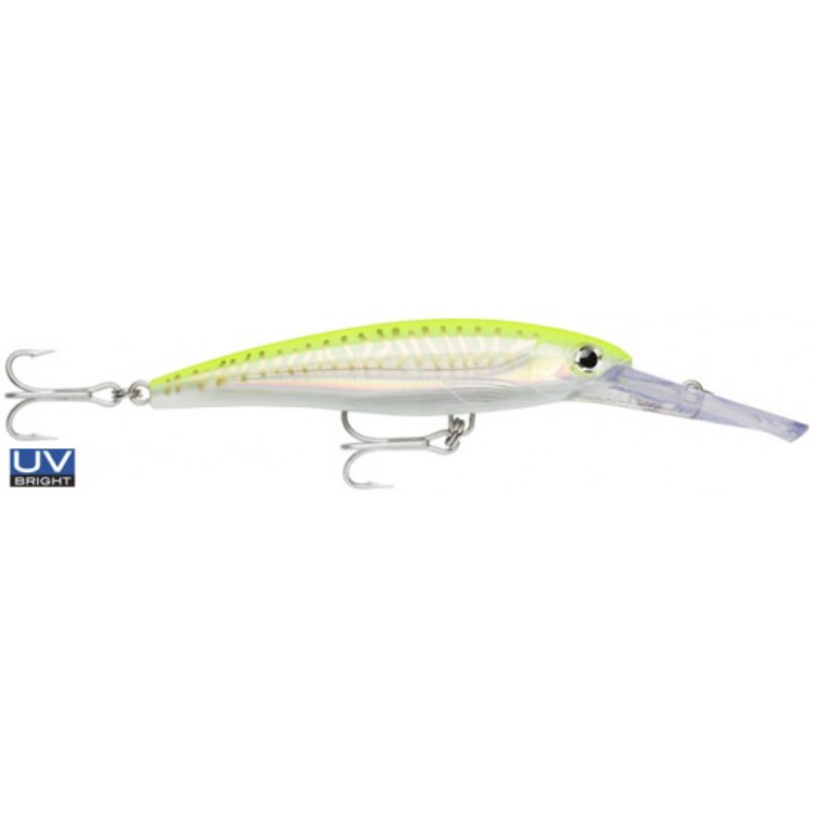 Rapala X-Rap Magnum Divebait 10ft Hard lure | Size: 11cm | 22g Deep Diver Rapala Cabral Outdoors