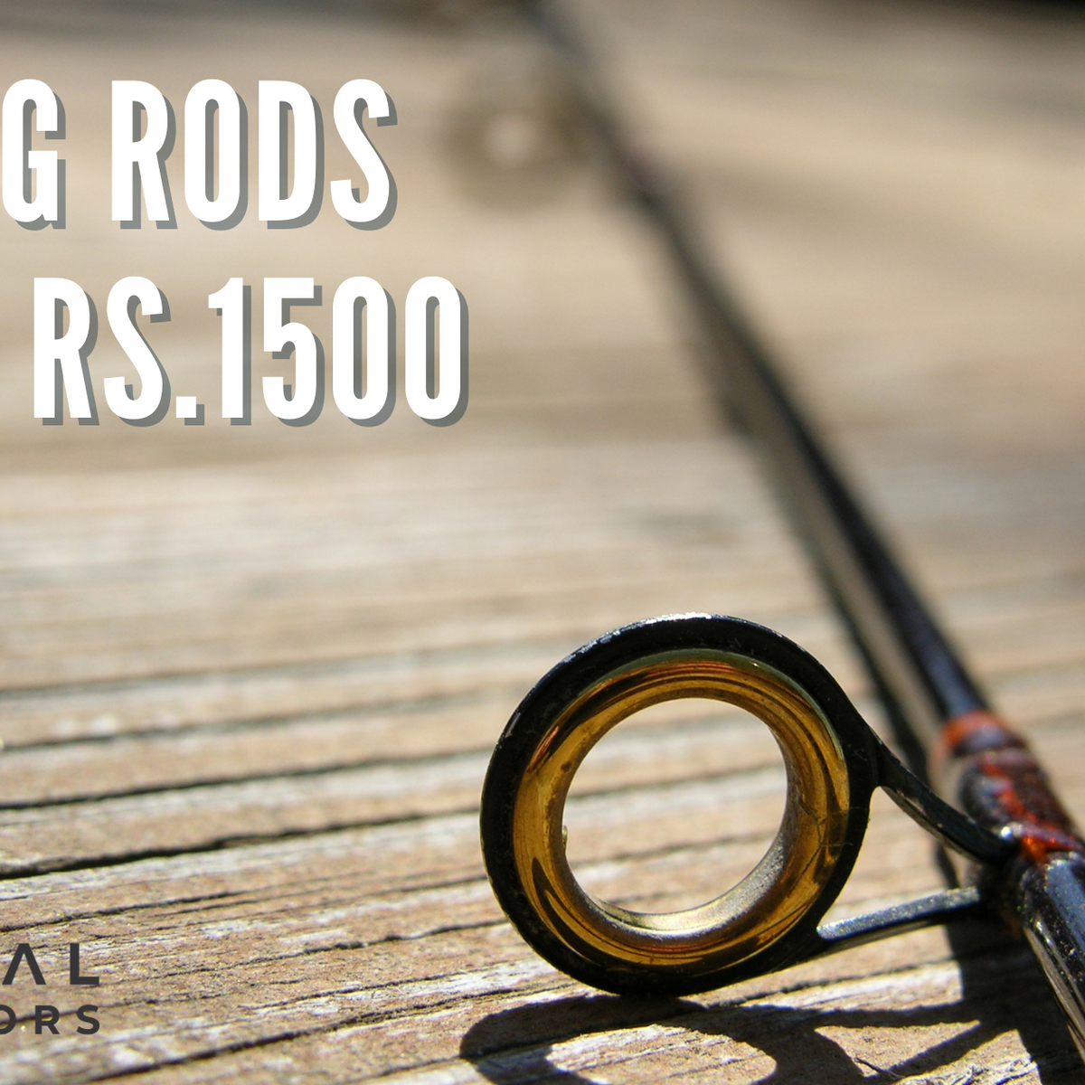 Indian Rods Best Fishing Rods Under ₹1500 in India (2026) — Tested & Compared ...