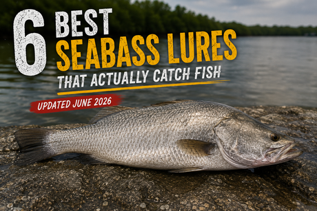 6 best seabass lures