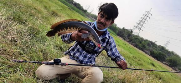 Nisar Angler