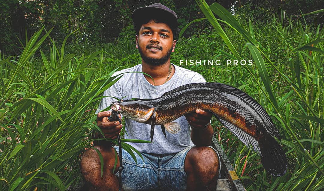 Fishing Pros [Akhil]