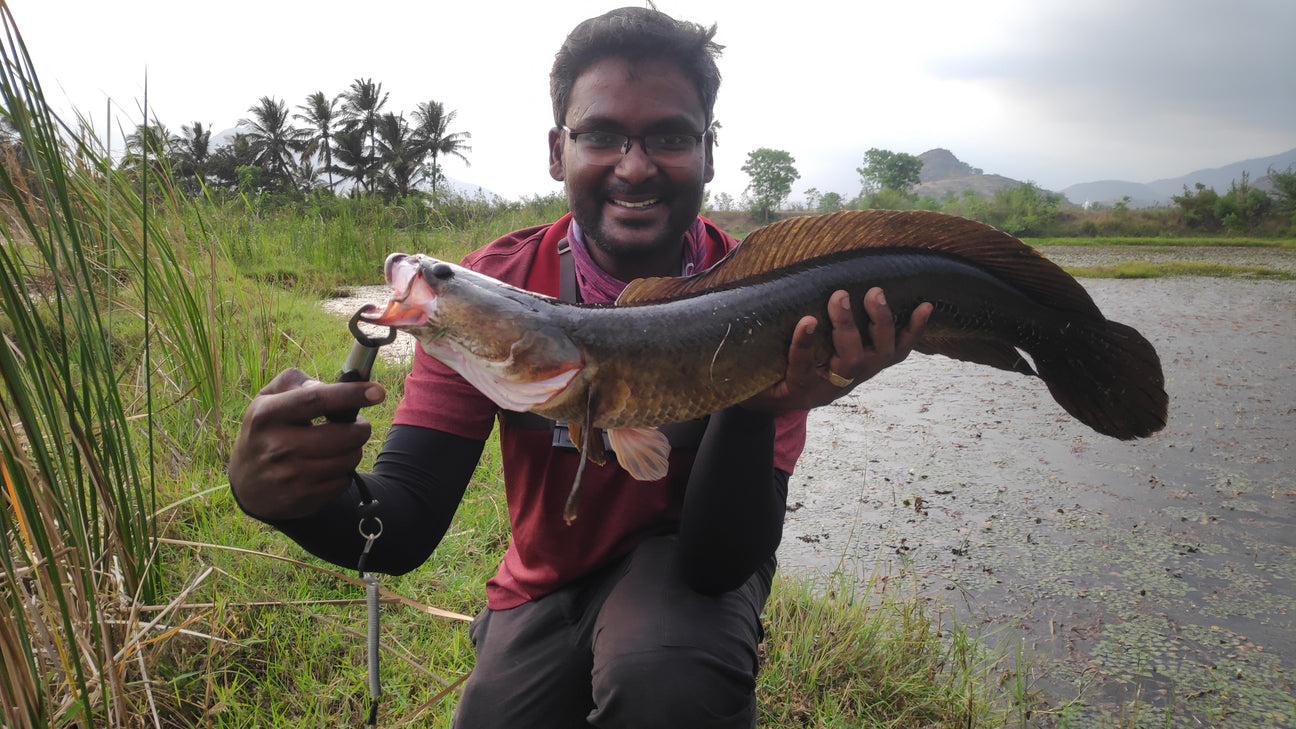 Fish with Hanish [Raj Hanish]