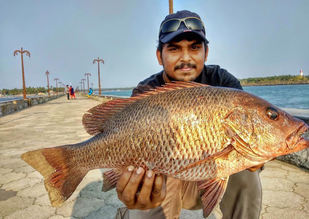 Mallu Angler [Midhun]