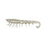 Lucana Psycho Shrimp | 3inch | 4g | 6pcs/pkt
