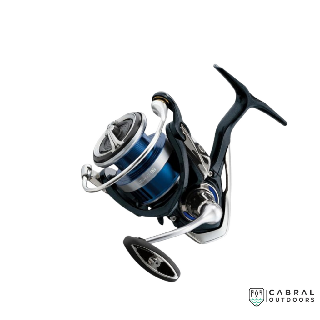 Daiwa Legalis LT 6000D | Cabral Outdoors