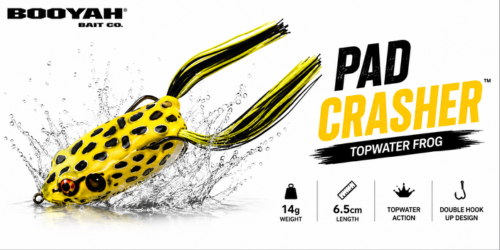 buy fishing accessories online india Equipment & : Fishing Equipment & Accessories in Fishing Rods Online in India