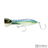Nomad Chug Norris Poper| Size:- 120mm |Weight:-45g  Popper  Nomad  Cabral Outdoors  