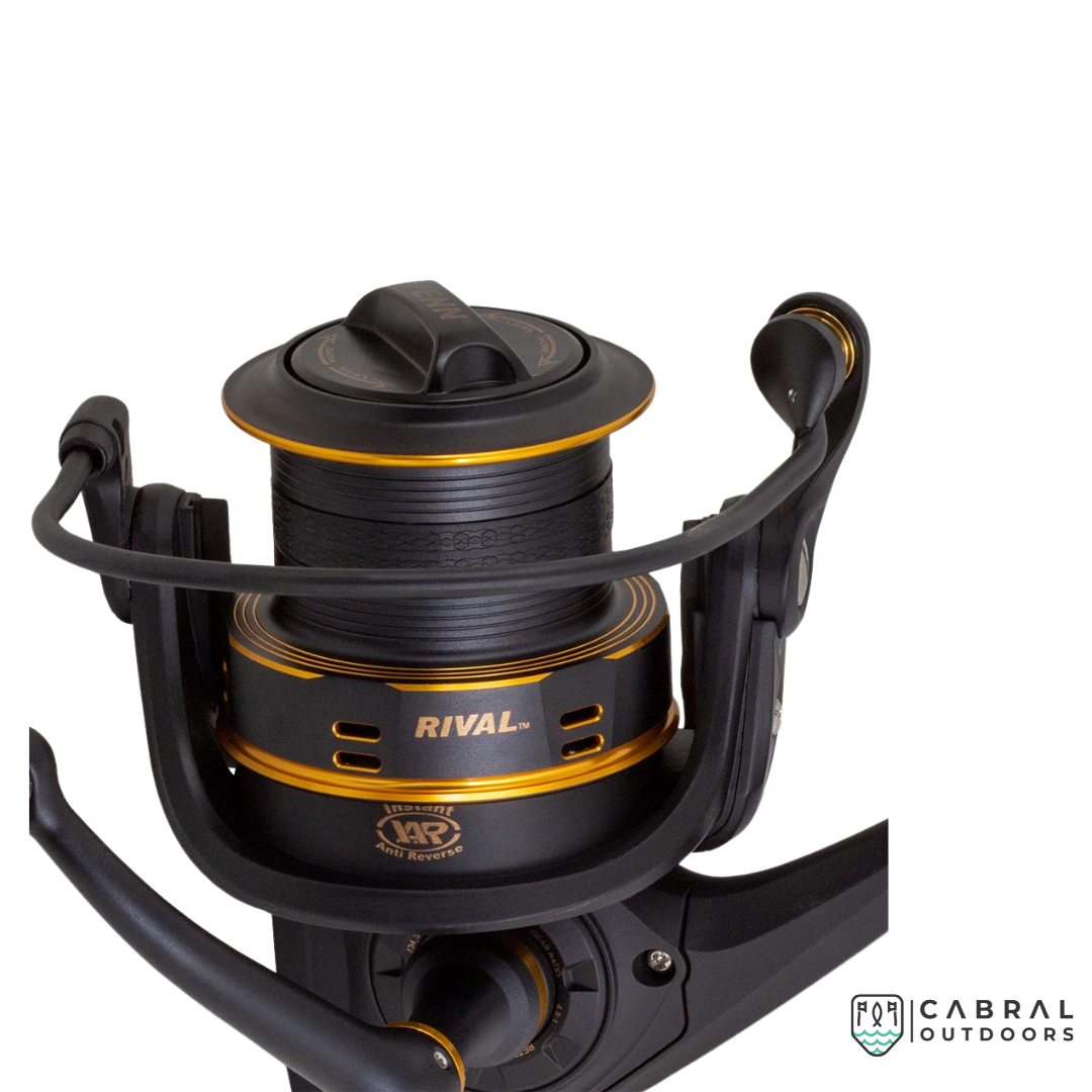 (Stock Clearance) Penn Rival Gold Spinning Reel 6000