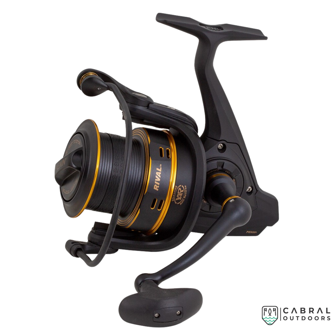 (Stock Clearance) Penn Rival Gold Spinning Reel 6000