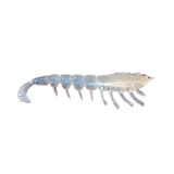 Rapala CrushCity The Imposter Soft Plastic Lure | 3 Inch | 6 Pcs Per Pack