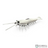 Savage Gear Manic Shrimp Weedless RTF WL  | Pack of 2 | Size: 3inch-3.5inch | Weight:-6g-9g  Shrimp  Savage Gear  Cabral Outdoors  