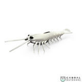 Savage Gear Manic Shrimp Weedless RTF WL  | Pack of 2 | Size: 3inch-3.5inch | Weight:-6g-9g  Shrimp  Savage Gear  Cabral Outdoors  