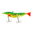Scaless Jhinga Magna Shrimp|100mm -11 g| Size :4 inch  Shrimp Scaleless  Fire Tiger