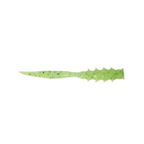 Good Meal Skinny | 1.5inch-2inch | 8pcs  Aji  Be Good  Cabral Outdoors  