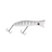 Halco Roosta Popper Hard Lure 160mm | 78g  Popper  Halco  Cabral Outdoors  