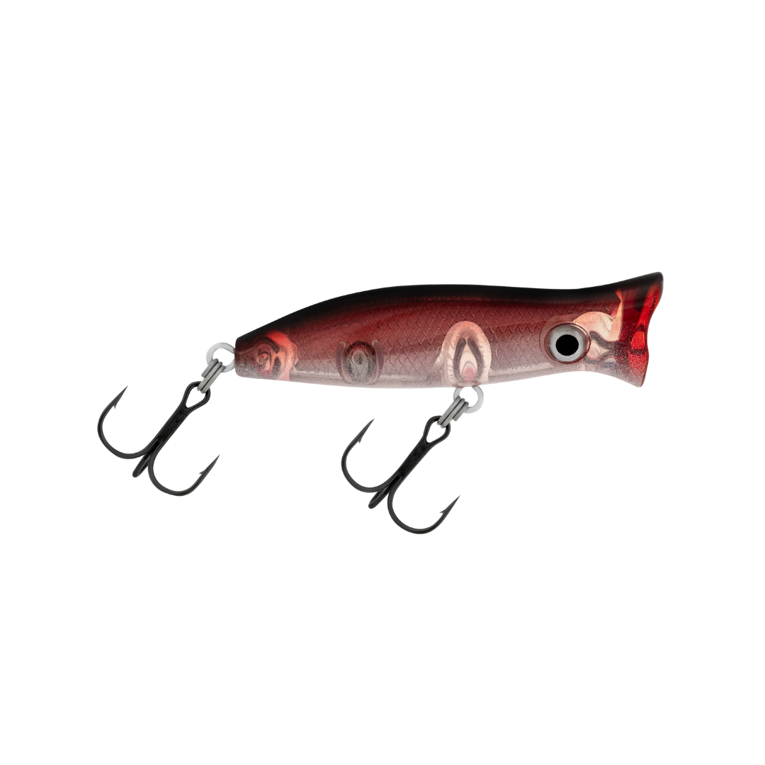 Halco Roosta Popper 60 Hard Lure |  Size: 60mm | 7g  Popper  Halco  Cabral Outdoors  