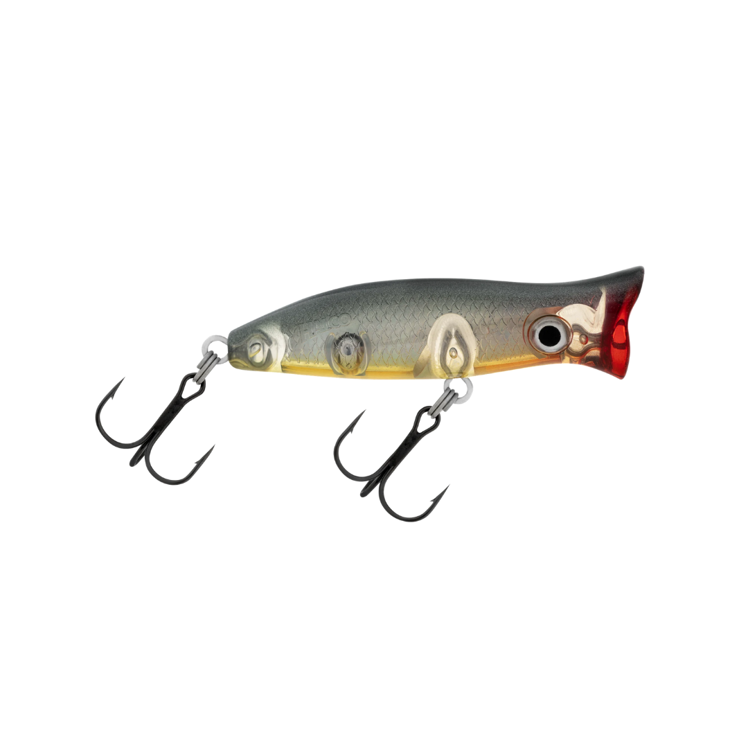 Halco Roosta Popper 60 Hard Lure |  Size: 60mm | 7g  Popper  Halco  Cabral Outdoors  