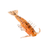 Zman Salty Ned ShrimpZ | 2.5inch | 6pcs/pck  Shrimp  Zman  Cabral Outdoors  