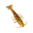 Zman Salty Ned ShrimpZ | 2.5inch | 6pcs/pck  Shrimp  Zman  Cabral Outdoors  