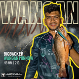 Jackall Big Backer Wangan Minnow | 98mm | 21g  Jerk Baits  Jackall  Cabral Outdoors  