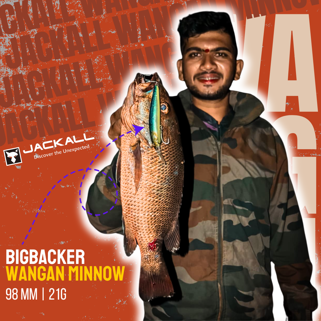 Jackall Big Backer Wangan Minnow | 98mm | 21g  Jerk Baits  Jackall  Cabral Outdoors  