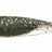 Fish Arrow Flash-J sw 1" Huddle, 5pcs/pkt  Huddle Tail  Fish Arrow  Cabral Outdoors  