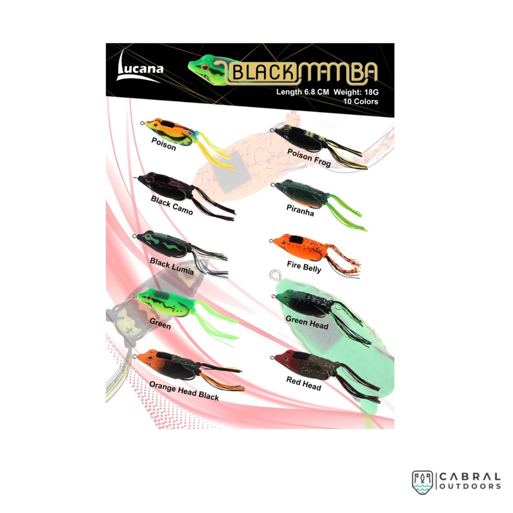 Lucana Black Mamba Frog | Size: 6.8cm