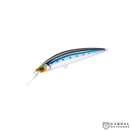 Duel Hardcore Heavy Minnow Hard Lure | Size: 11cm |  37g  Hard Lure  Duel  Cabral Outdoors  