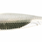 Fish Arrow Flash-J sw 1" Huddle, 5pcs/pkt  Huddle Tail  Fish Arrow  Cabral Outdoors  