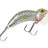Halco Night Walker Surface Crawler Hard Lure 65mm |14g  Popper  Halco  Cabral Outdoors  