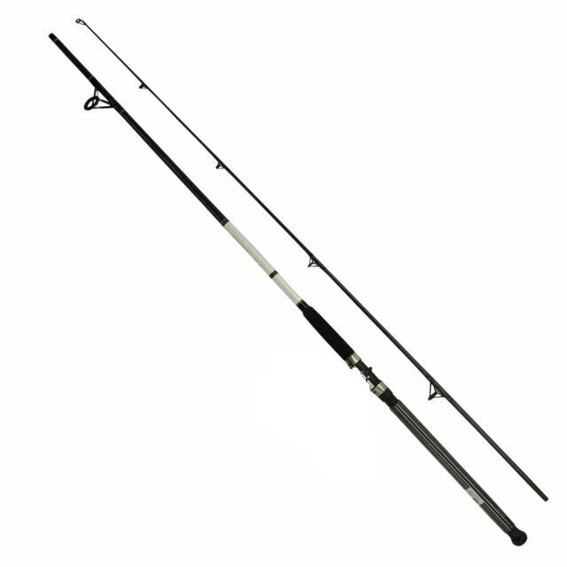 daiwa 10ft fishing rod Daiwa D-Wave Saltwater 7ft-10ft Spinning Rod
